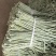 广西白豆角大量上市欢迎各位老板采购