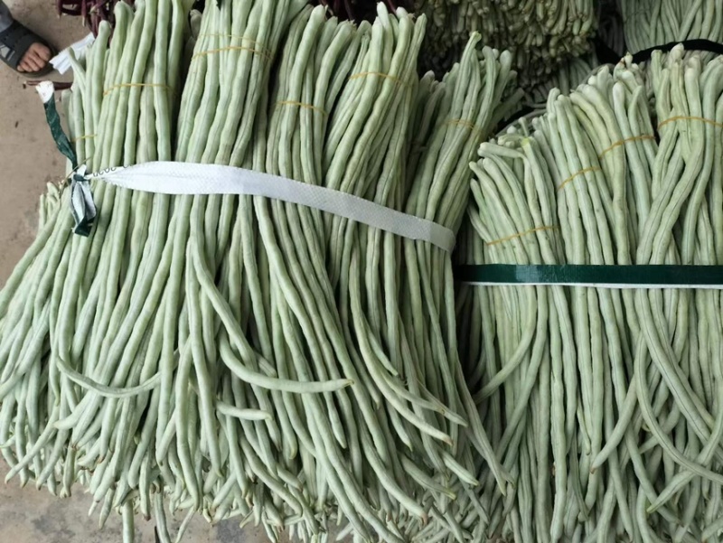 广西白豆角大量上市欢迎各位老板采购