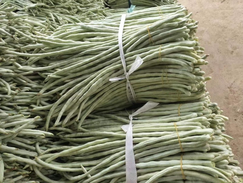 广西白豆角大量上市欢迎各位老板采购