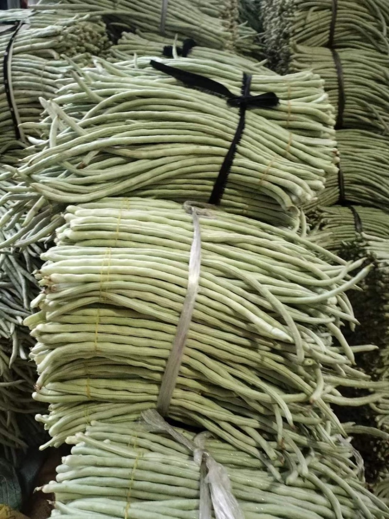 广西白豆角大量上市欢迎各位老板采购