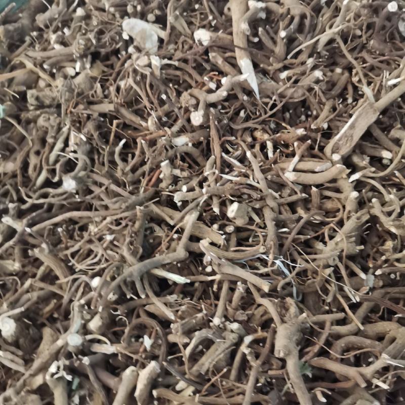 小罗伞中药材全年大量供应，欢迎选购
