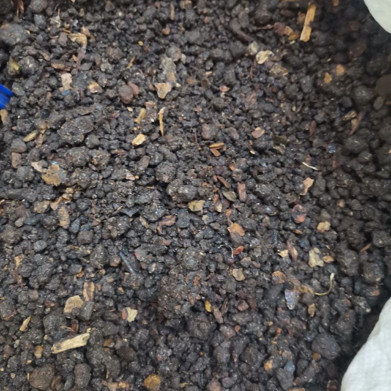 沒药，中药材全年大货供应，欢迎新老客户光临选购