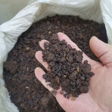 沒药，中药材全年大货供应，欢迎新老客户光临选购