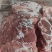 肥猪二级无颈前排