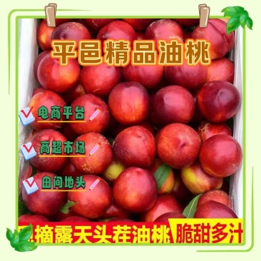山东平邑精品油桃,大量出货中。口感脆甜多汁,欢迎来电咨询