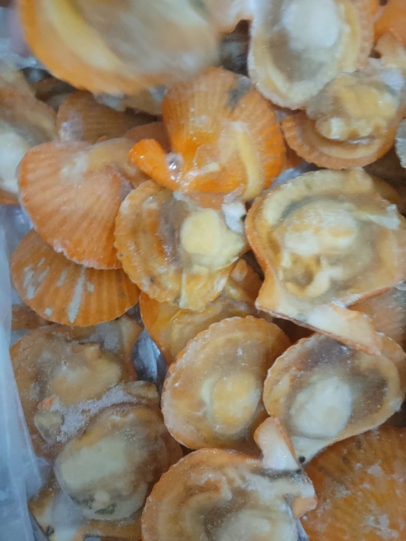 半壳黄金扇贝黄金贝烧烤摊夜市优选