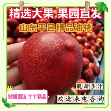 油桃山东油桃〔精选〕露天油桃，产地对接电商市场商超欢迎定