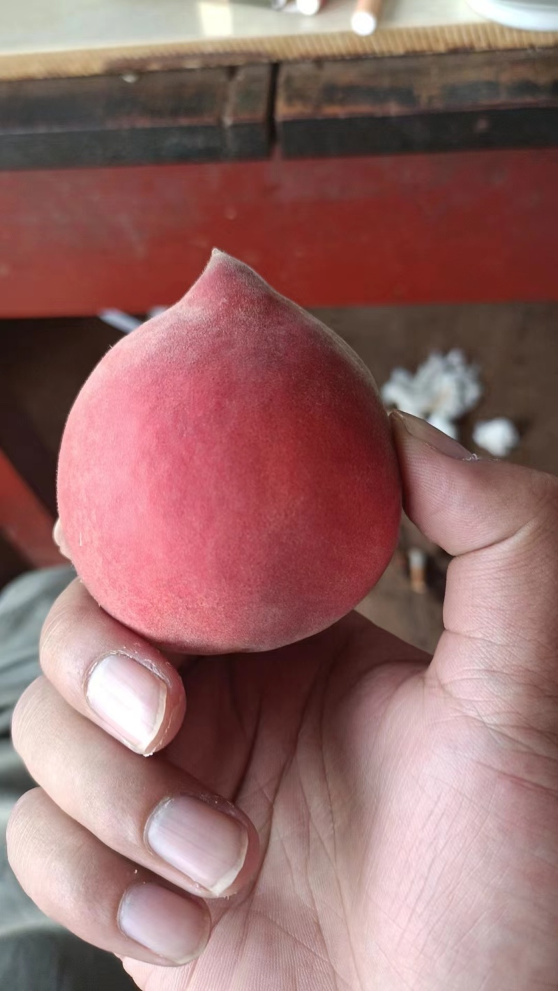 云南红宝石桃子一件代发