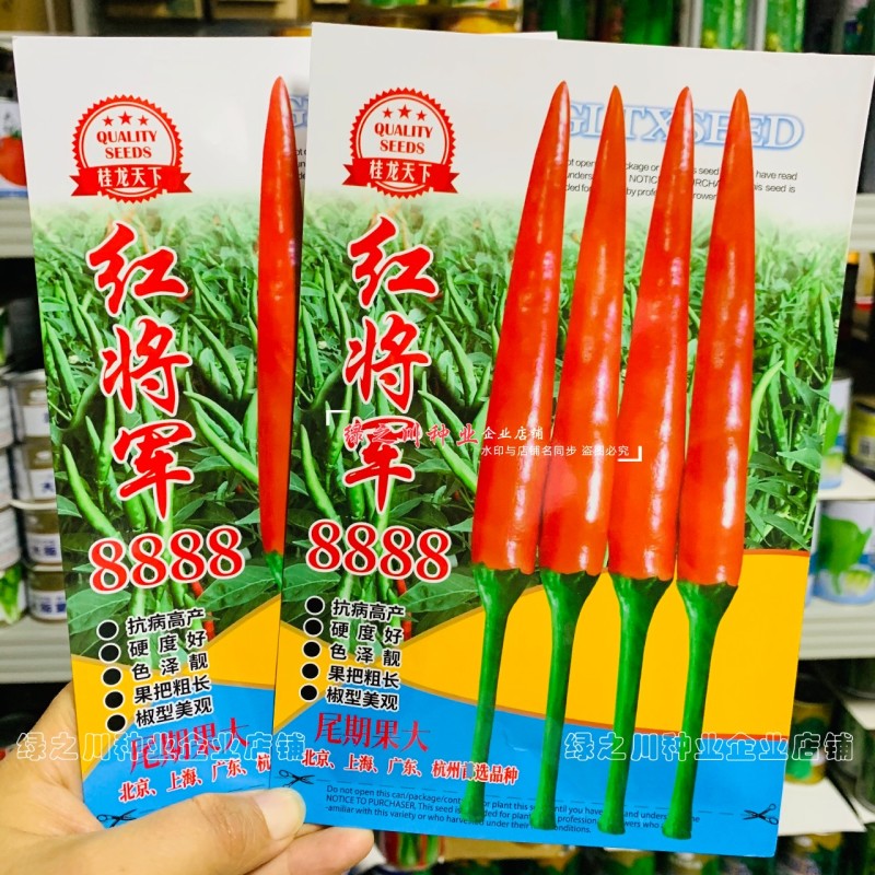 正宗红将军8888辣椒种籽大果型朝天椒种子尾期果大辣度强抗病