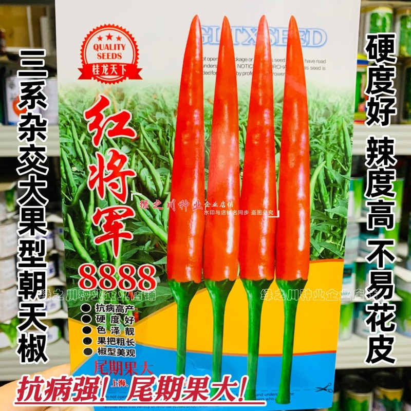 正宗红将军8888辣椒种籽大果型朝天椒种子尾期果大辣度强抗病