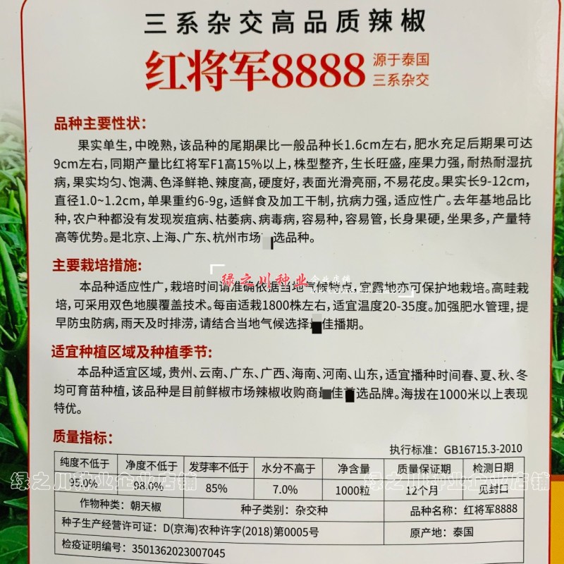 正宗红将军8888辣椒种籽大果型朝天椒种子尾期果大辣度强抗病