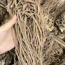 ​​​​​​​​​长白山的整支当归，味道更浓，无磺，