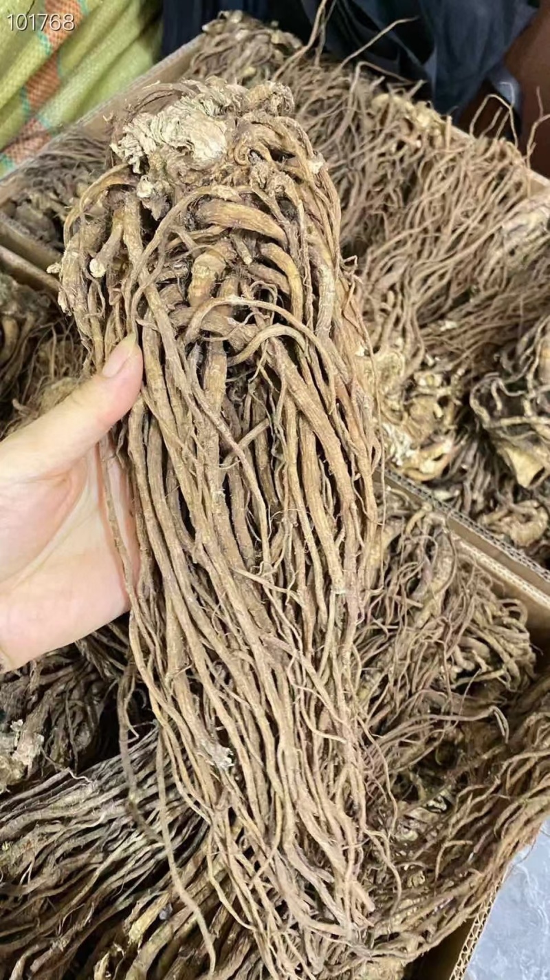 ​​​​​​​​​长白山的整支当归，味道更浓，无磺，