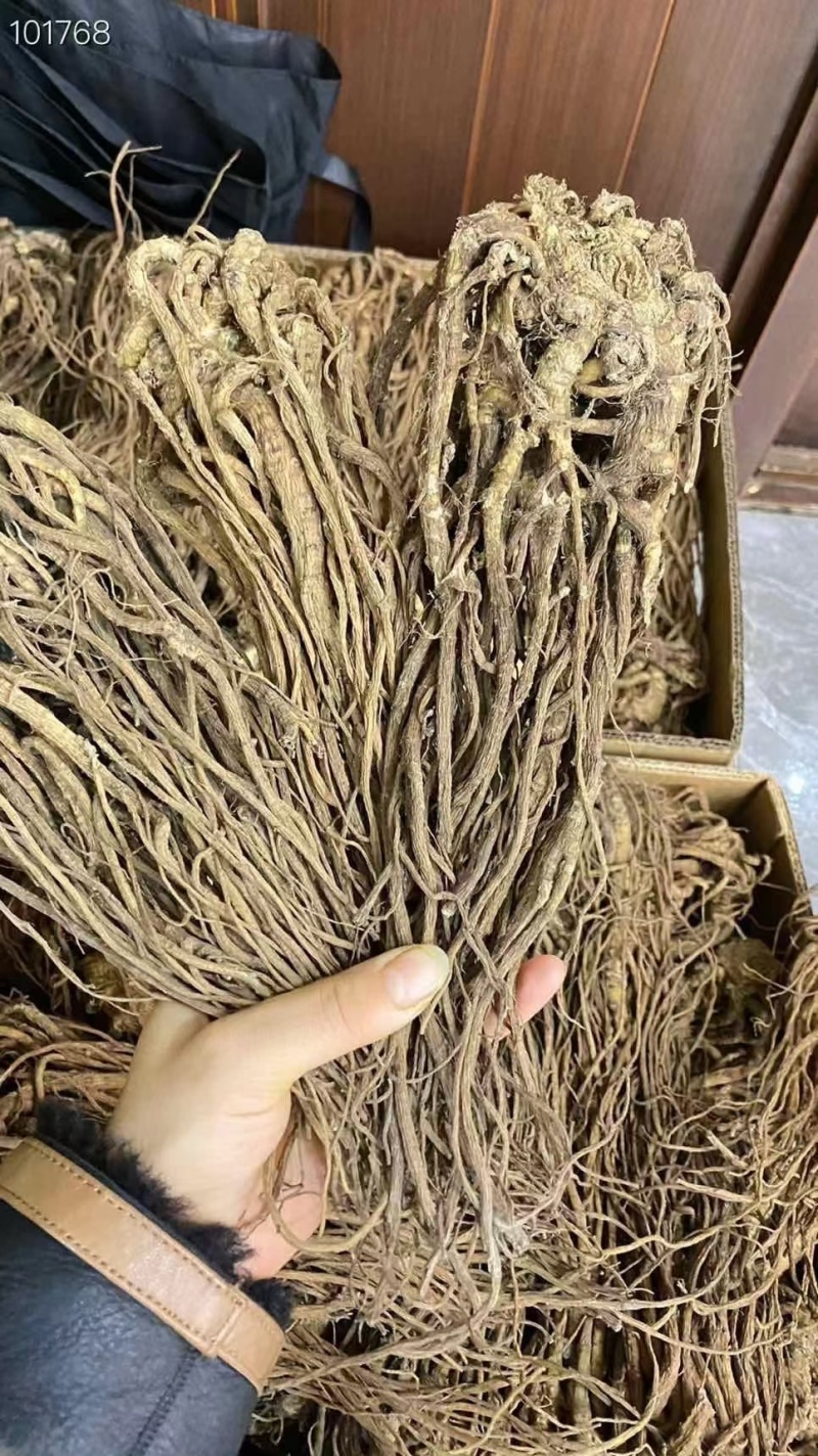 ​​​​​​​​​长白山的整支当归，味道更浓，无磺，