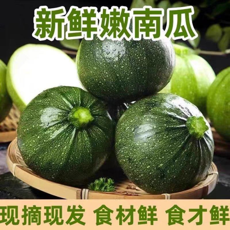 精品南瓜小南瓜大量上市，各大商超市场可对接，欢迎订购