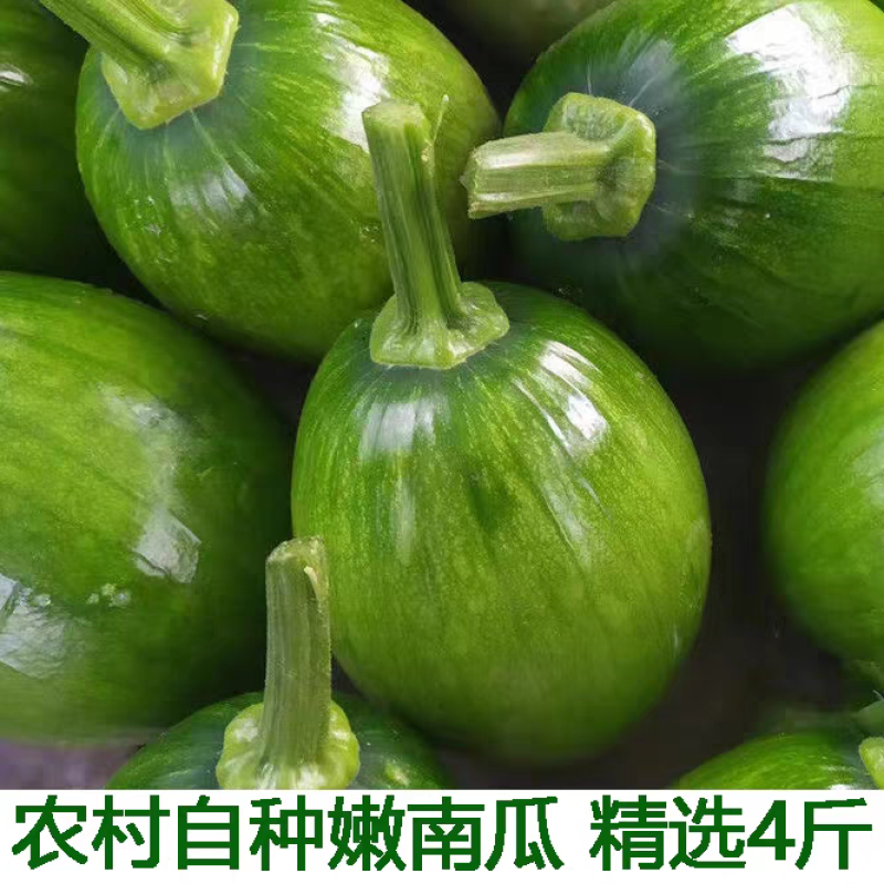 精品南瓜小南瓜大量上市，各大商超市场可对接，欢迎订购