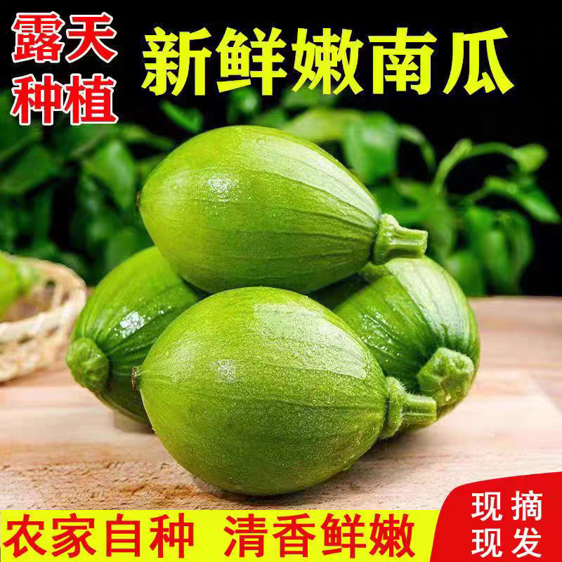 精品南瓜小南瓜大量上市，各大商超市场可对接，欢迎订购
