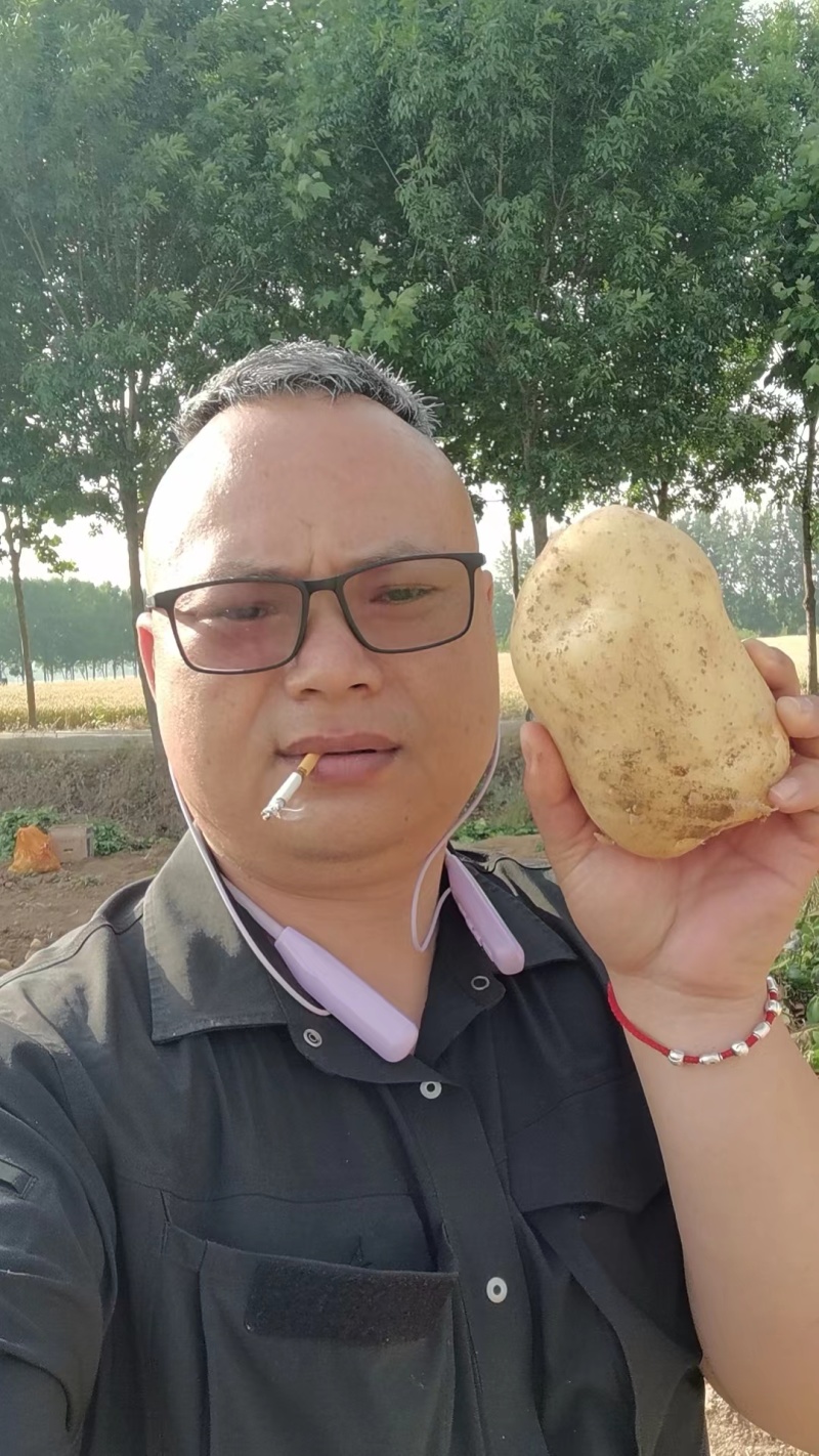 土豆沃土荷兰806毛毛钱上车，电商货市场货龚垒代发货代收