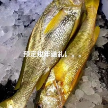 小黄鱼烤串