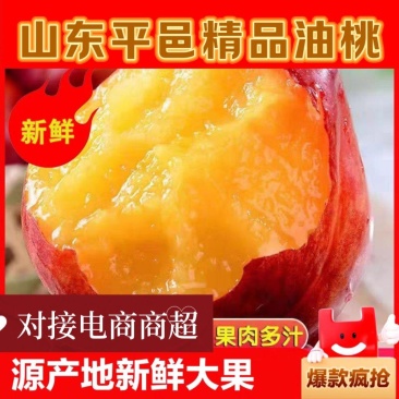 【推荐】山东平邑精品油桃大量出货中酥脆爽口，黄肉多汁