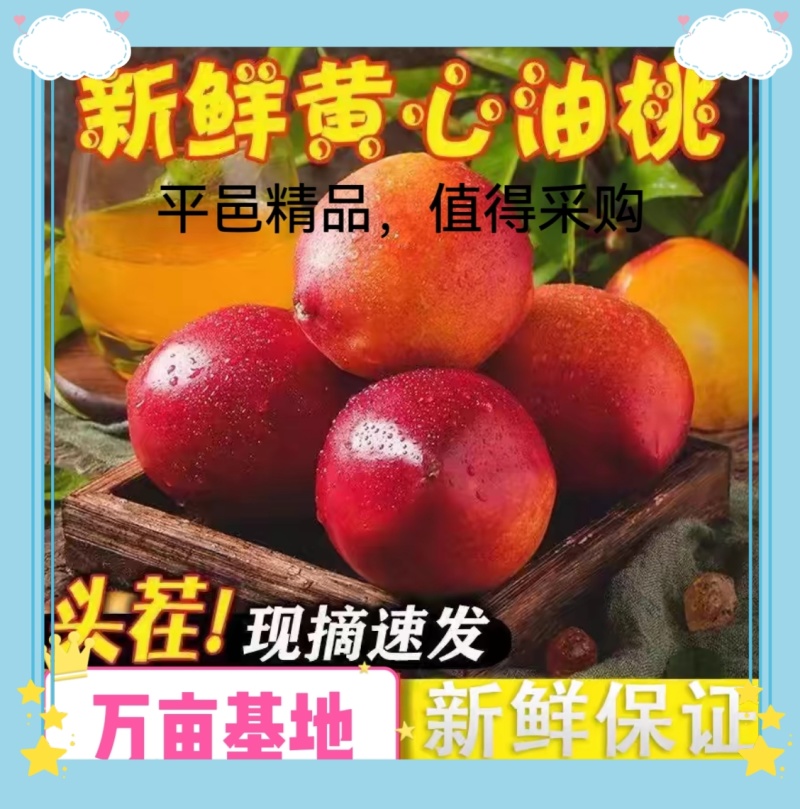 【推荐】山东平邑精品油桃大量出货中酥脆爽口，黄肉多汁