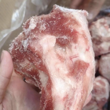多肉大棒骨，腿骨快