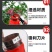 多功能摘花椒器防止扎手专用采摘机手持式新款剪花椒枸杞工