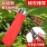 多功能摘花椒器防止扎手专用采摘机手持式新款剪花椒枸杞工