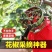多功能摘花椒器防止扎手专用采摘机手持式新款剪花椒枸杞工