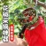 多功能摘花椒器防止扎手专用采摘机手持式新款剪花椒枸杞工