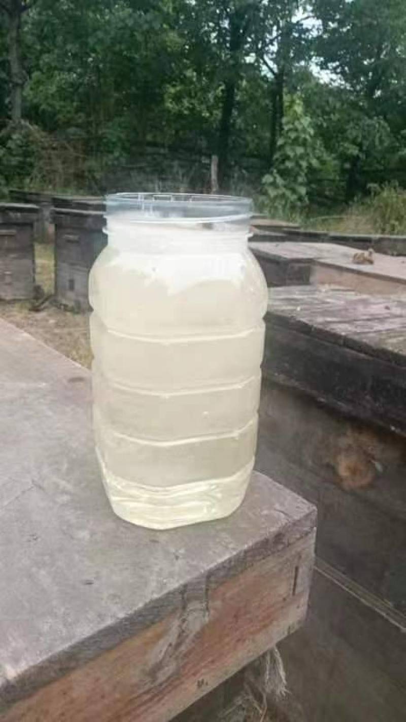 槐花蜂蜜新鲜蜂蜜蜂农自产原蜜纯正。批发零售支持一件化发