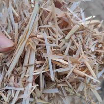 2024年新麦草粉碎柔丝压块麦秸无土无膜无霉变质量保证