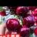 樱桃红灯美早先锋~一件代发~抖音快手~拼多多对接各大电商