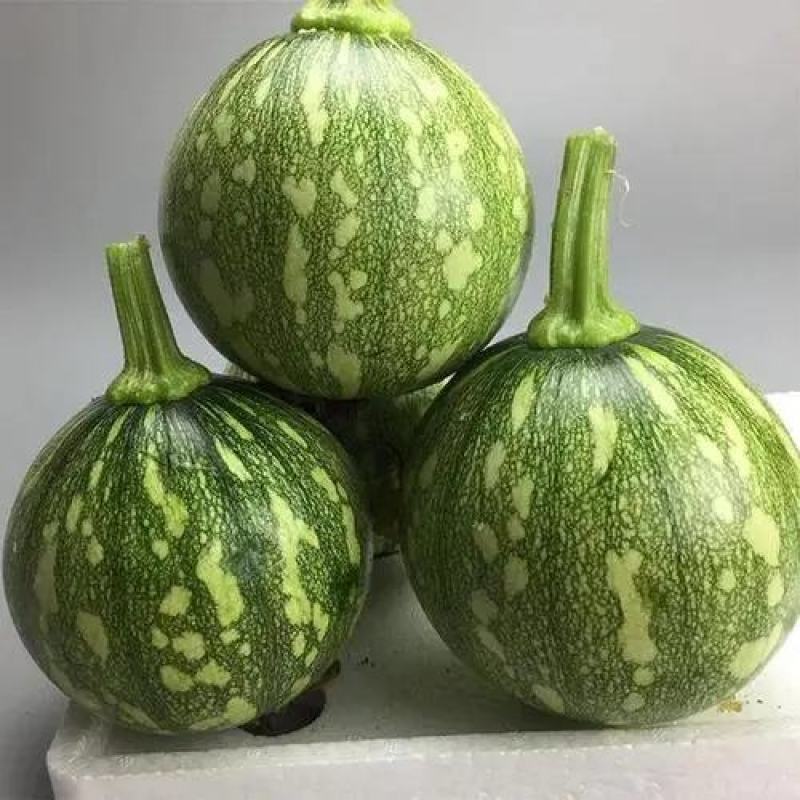 【热款】小南瓜嫩南瓜南瓜产地一手货源质量保证