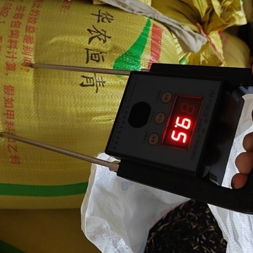 油菜籽，毛籽，新品刚刚上市，有需要的老板请联系我