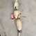 云南莲藕大量上市了，