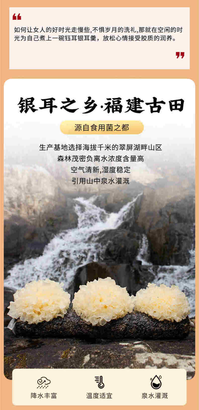 本草银耳方便银耳胶耳青春有梦娇养嫦娥