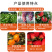 高磷高钾肥料易吸收螯合工艺保花膨果着色厂家直销量大从优