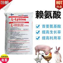 饲料级L赖氨酸含量98.5希杰饲料添加剂/氨基酸动物