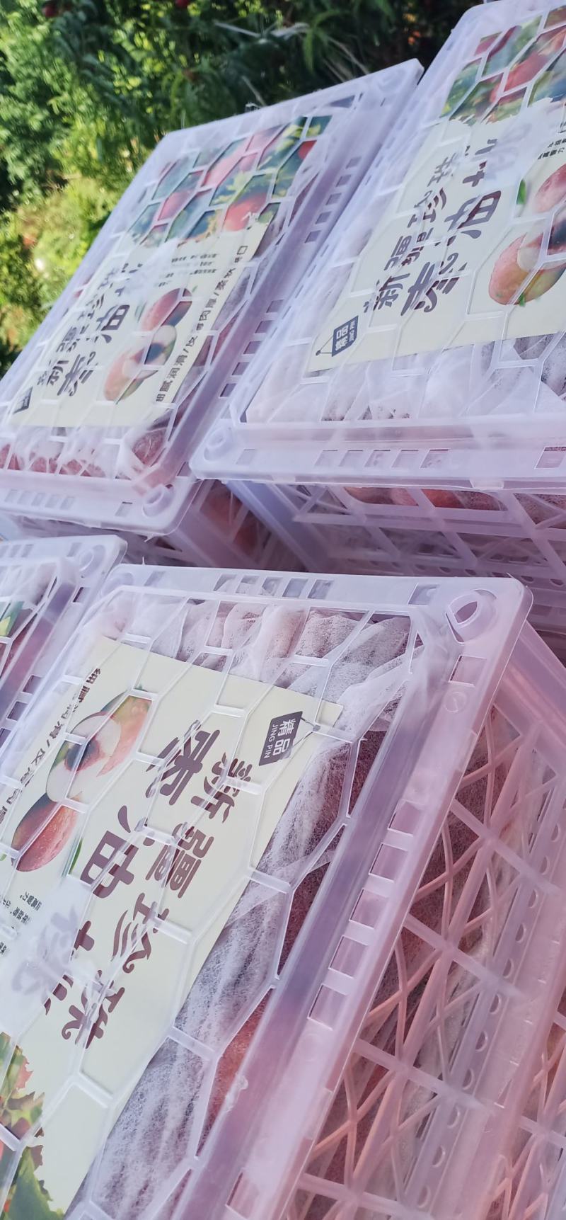 云南建水精品白心油桃大量有货，每天都走车，看上的老板速联
