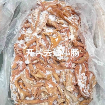 抛开去油牛小肠，精修，熟度高，颜色鲜亮，公牛牛肠，质量高