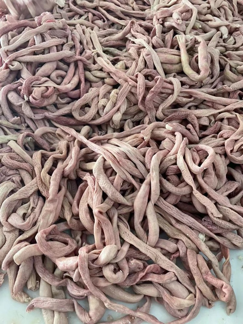 抛开去油牛小肠，精修，熟度高，颜色鲜亮，公牛牛肠，质量高