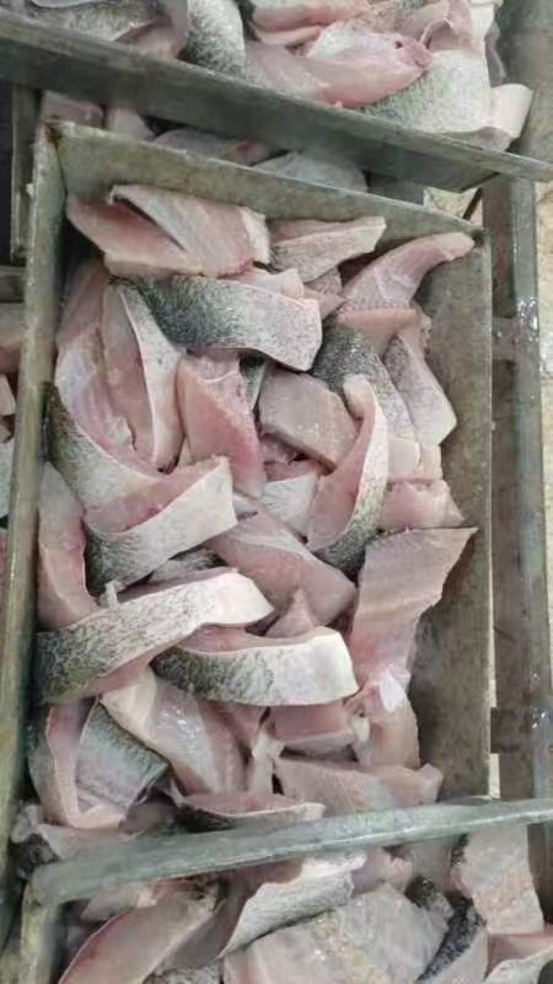 鲢鱼尾鲢鱼块