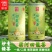 云南茶叶蜜茶一手货源价格有货质量保证欢迎联系