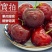 樱桃美早先锋~一件代发~抖音~快手~对接各大电商