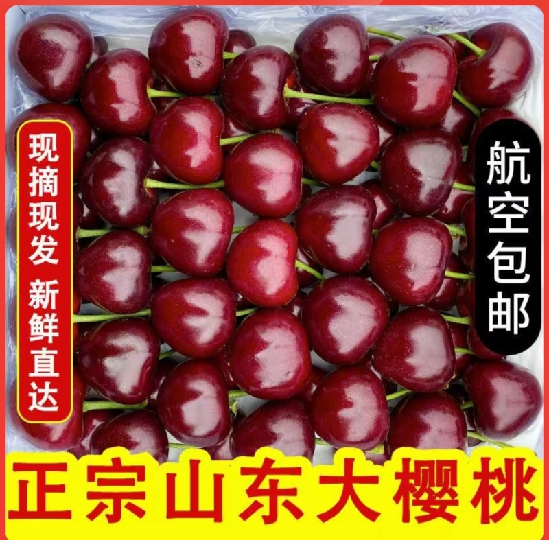 樱桃美早先锋~一件代发~抖音~快手~对接各大电商