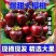 一件代发~樱桃美早先锋~抖音~快手~对接各大电商