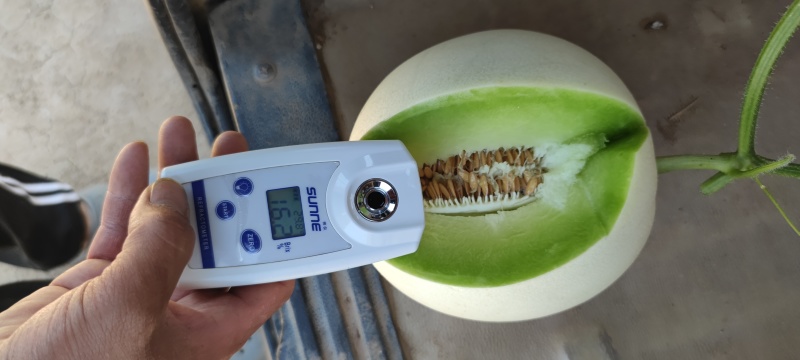 玉姑大量有货没别的就是便宜