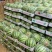 精品美都大量上市品质保证支持视频看货欢迎来电产地直发