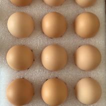 低胆固醇富硒鸡蛋